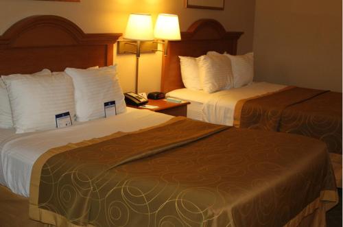 Imagen general del Hotel Spark By Hilton Smithfield I-95. Foto 7