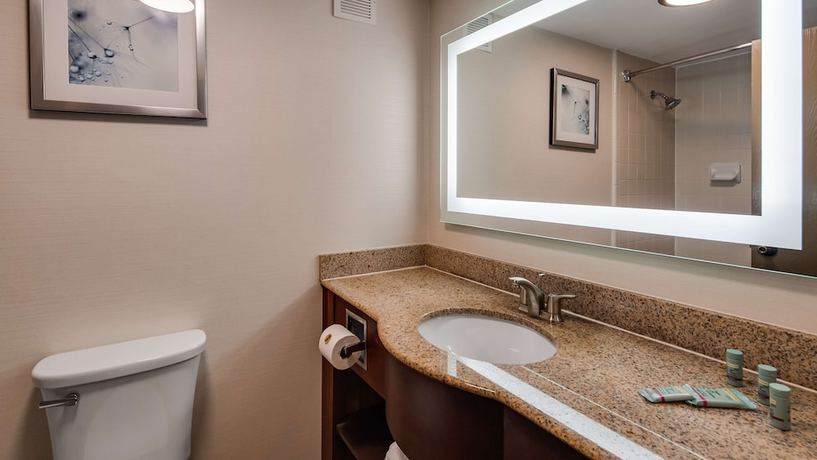 Imagen de la habitación del Hotel Spark By Hilton Williamsburg Historic Area. Foto 14