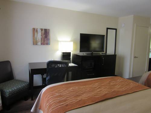 Imagen de la habitación del Hotel Spark by Hilton Grapevine DFW North. Foto 3