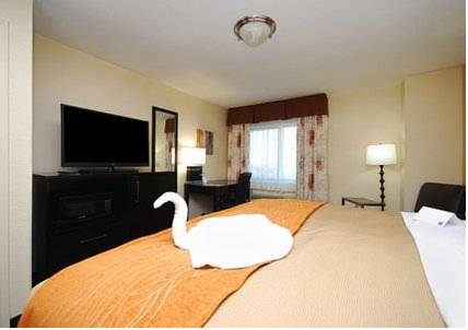 Imagen de la habitación del Hotel Spark by Hilton Grapevine DFW North. Foto 14