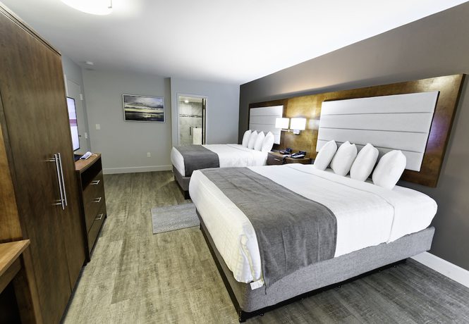 Imagen de la habitación del Hotel Spark by Hilton Hilton Head Island. Foto 4