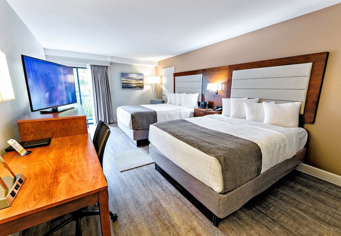 Imagen de la habitación del Hotel Spark by Hilton Hilton Head Island. Foto 6