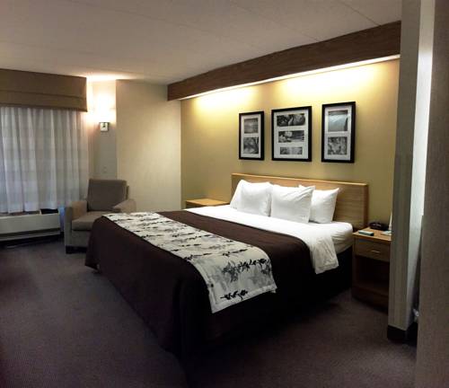 Imagen de la habitación del Hotel Spark by Hilton Lynchburg. Foto 3