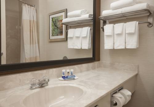 Imagen de la habitación del Hotel Spark by Hilton Moline Quad Cities. Foto 10