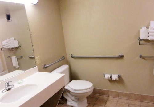 Imagen de la habitación del Hotel Spark by Hilton Orlando Universal Blvd. Foto 16