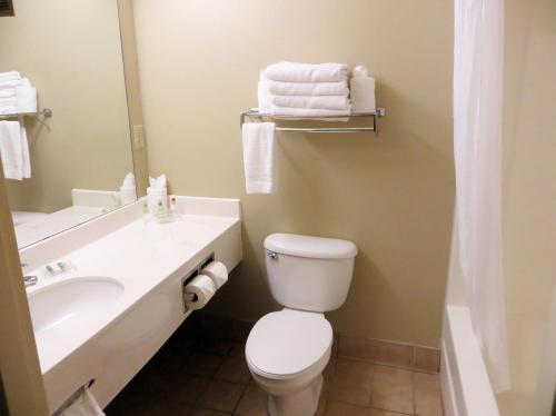 Imagen de la habitación del Hotel Spark by Hilton Orlando Universal Blvd. Foto 17