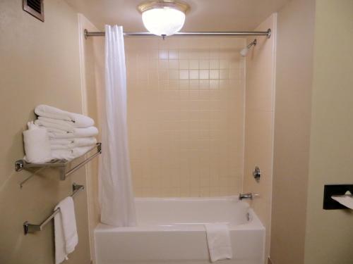 Imagen de la habitación del Hotel Spark by Hilton Orlando Universal Blvd. Foto 19