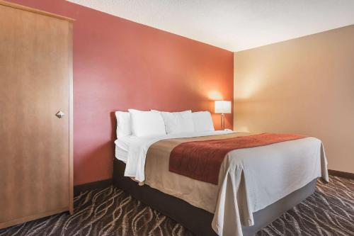 Imagen de la habitación del Hotel Spark by Hilton Oshawa. Foto 10