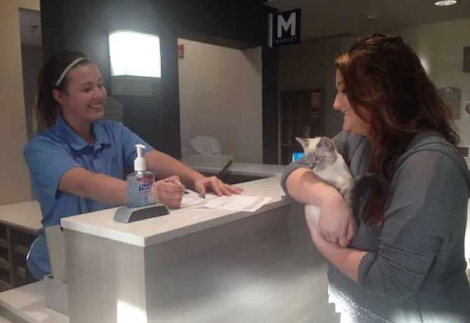 Imagen general del Hotel Spark by Hilton Rochester South. Foto 1