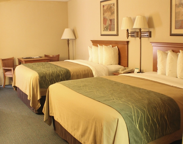 Imagen de la habitación del Hotel Spark by Hilton San Antonio Northwest near Six Flags. Foto 5