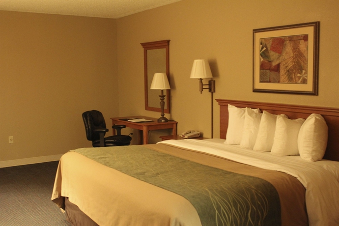 Imagen de la habitación del Hotel Spark by Hilton San Antonio Northwest near Six Flags. Foto 8