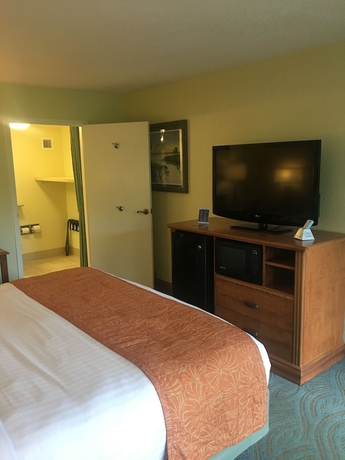 Imagen de la habitación del Hotel Spark by Hilton Sarasota Siesta Key Gateway. Foto 15