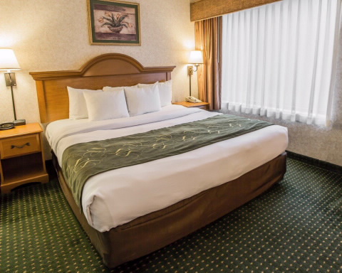 Imagen de la habitación del Hotel Spark by Hilton Wilmington. Foto 1