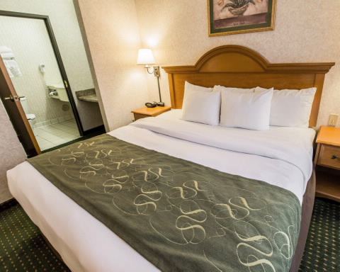 Imagen de la habitación del Hotel Spark by Hilton Wilmington. Foto 4