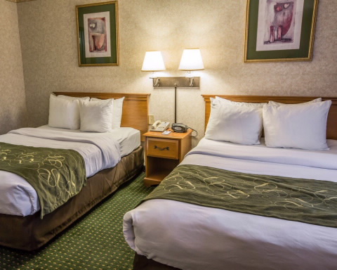 Imagen de la habitación del Hotel Spark by Hilton Wilmington. Foto 5