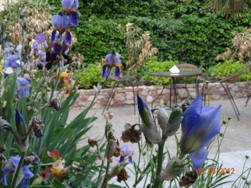 Imagen general del Hotel Sparta. Foto 26