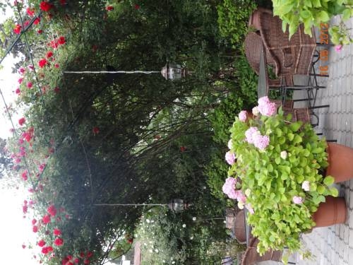 Imagen general del Hotel Sparta. Foto 27