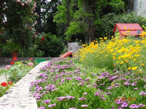 Imagen general del Hotel Sparta. Foto 28