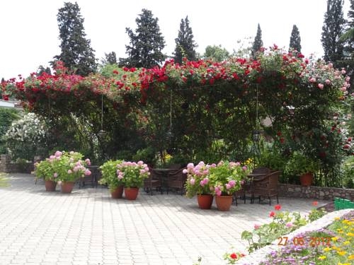 Imagen general del Hotel Sparta. Foto 30