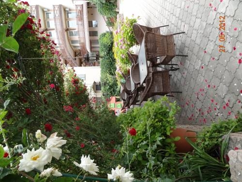 Imagen general del Hotel Sparta. Foto 34