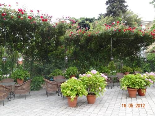 Imagen general del Hotel Sparta. Foto 40