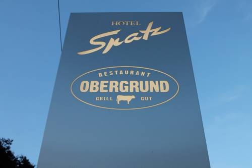 Imagen general del Hotel Spatz, Lucerna. Foto 3