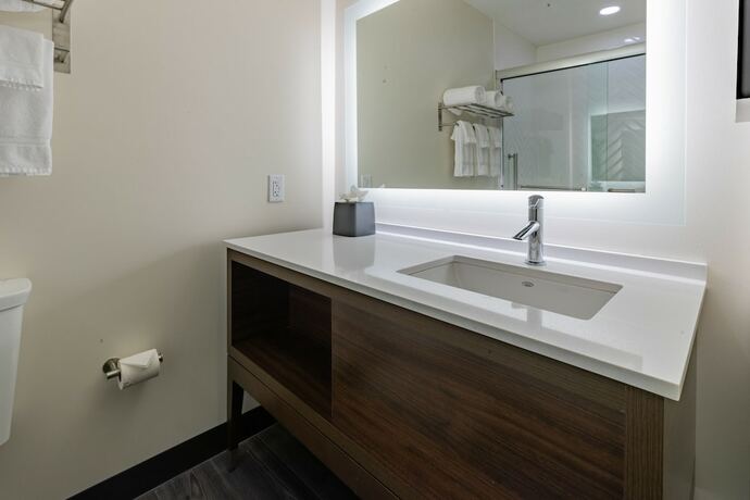 Imagen general del Hotel Spice And Sky Atlanta-perimeter. Foto 3