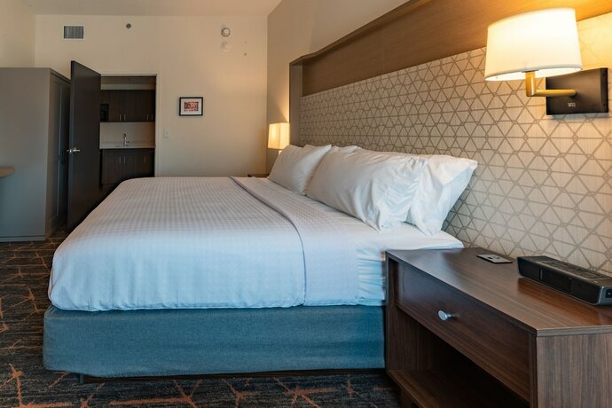 Imagen de la habitación del Hotel Spice And Sky Atlanta-perimeter. Foto 14