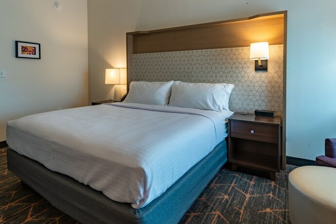 Imagen de la habitación del Hotel Spice And Sky Atlanta-perimeter. Foto 17