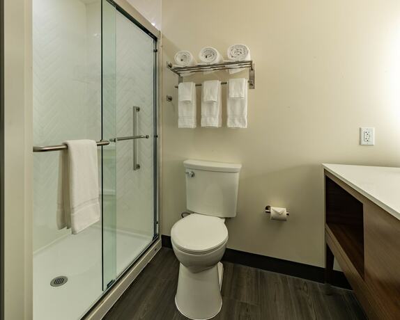 Imagen de la habitación del Hotel Spice And Sky Atlanta-perimeter. Foto 18