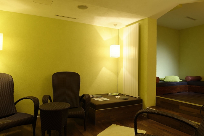 Imagen de la piscina del Hotel Spinne. Foto 16