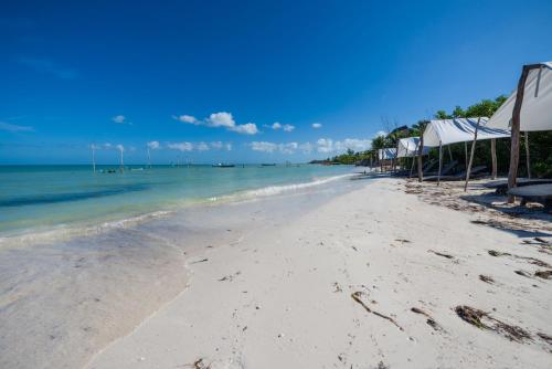 Imagen general del Hotel Spirit Holbox. Foto 5