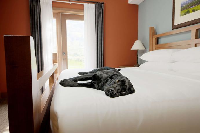 Imagen de la habitación del Hotel Spirit Ridge, In The Unbound Collection By Hyatt. Foto 18