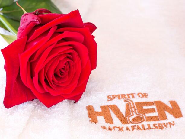 Imagen general del Hotel Spirit of Hven Backafallsbyn. Foto 12