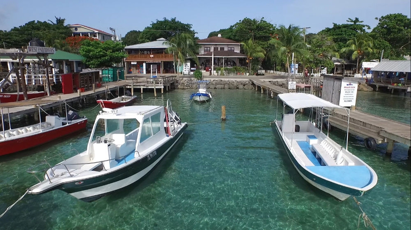 Imagen de los exteriores del Hotel Splash Inn Dive Resort and Villas. Foto 7