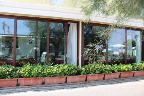 Imagen general del Hotel Splendid, Gabicce Mare. Foto 2