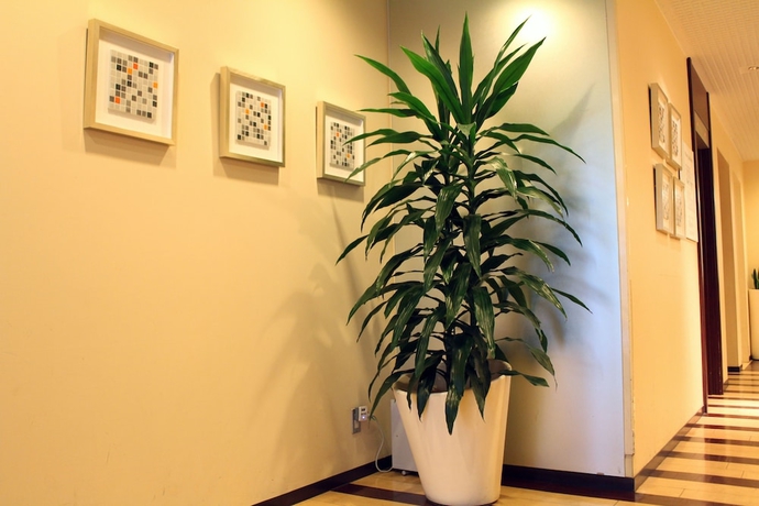 Imagen de los interiores del Hotel S-plus Nagoya Sakae. Foto 13