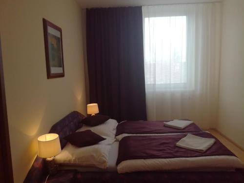 Imagen de la habitación del Hotel Spolcentrum. Foto 5