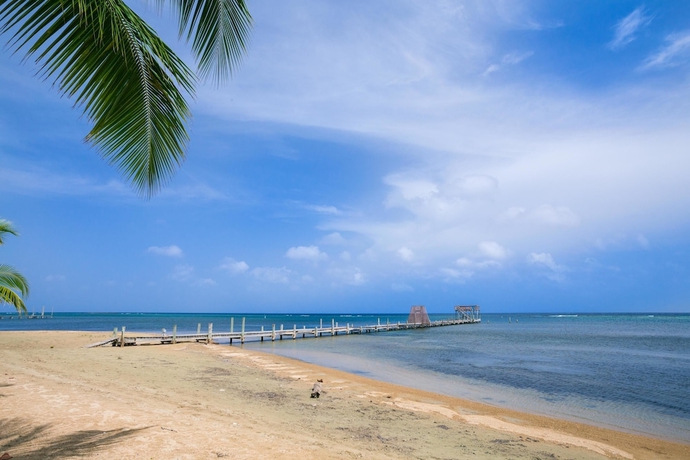 Imagen de los exteriores del Hotel Spooky Channel Villa. Foto 15