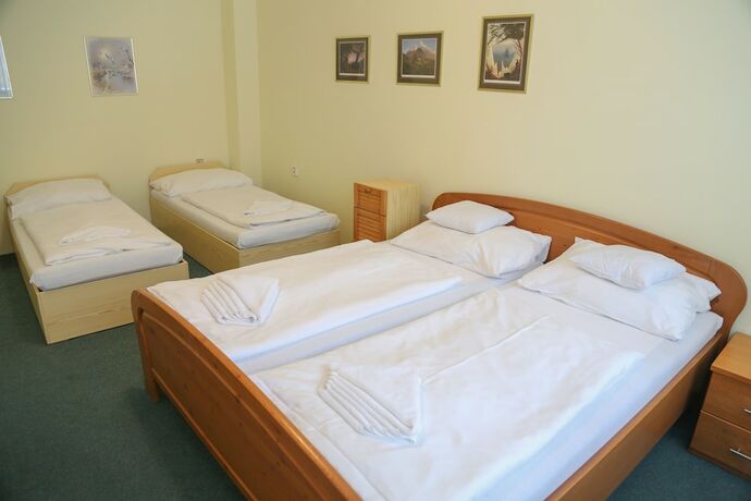 Imagen general del Hotel Sport Gejz&iacute;rpark. Foto 1