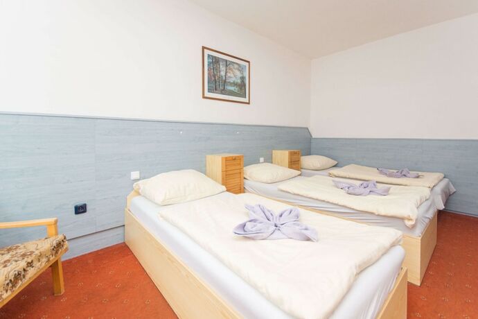 Imagen de la habitación del Hotel Sport Gejz&iacute;rpark. Foto 12