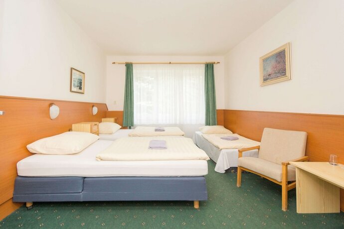 Imagen de la habitación del Hotel Sport Gejz&iacute;rpark. Foto 14