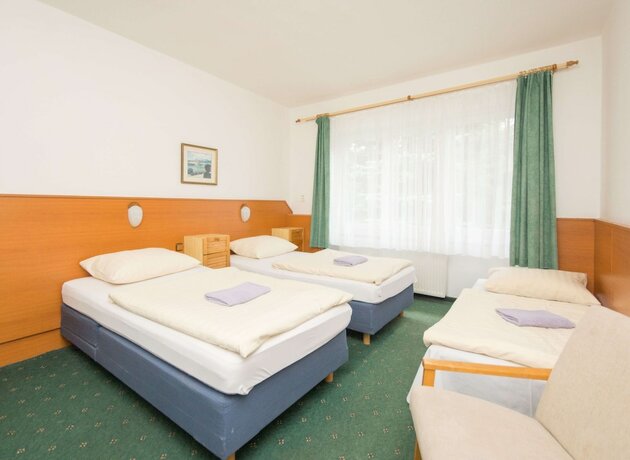Imagen general del Hotel Sport Gejz&iacute;rpark. Foto 6