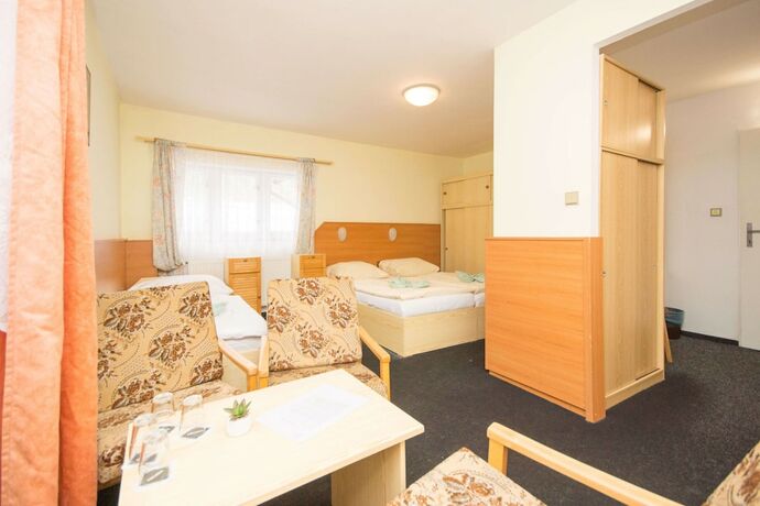 Imagen de la habitación del Hotel Sport Gejz&iacute;rpark. Foto 17