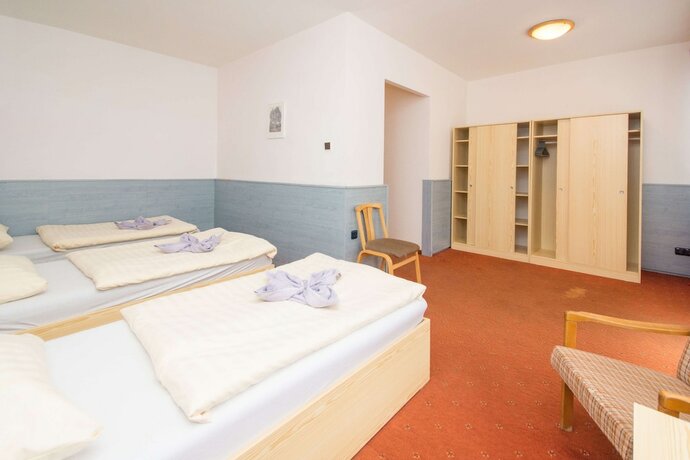 Imagen de la habitación del Hotel Sport Gejz&iacute;rpark. Foto 19