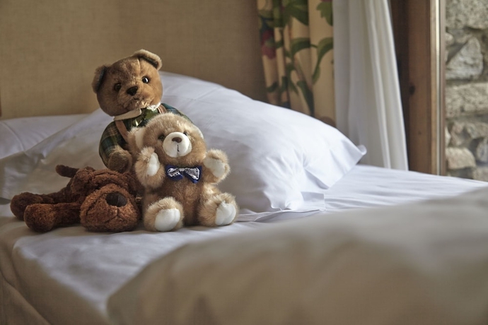 Imagen de la habitación del Hotel Sport Hotel. Foto 11