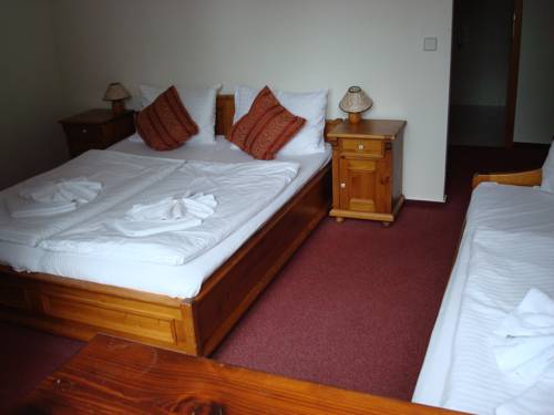 Imagen de la habitación del Hotel Sport Pomi. Foto 16