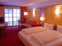 Imagen general del Hotel Sporthotel Auhof. Foto 9