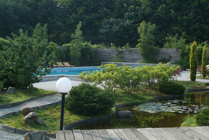 Imagen de la piscina del Hotel Sporthotel Bruurs. Foto 13