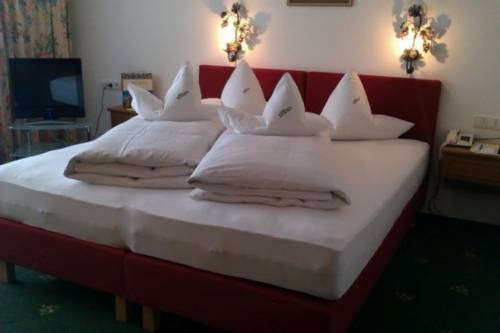 Imagen general del Hotel Sporthotel Enzian. Foto 4